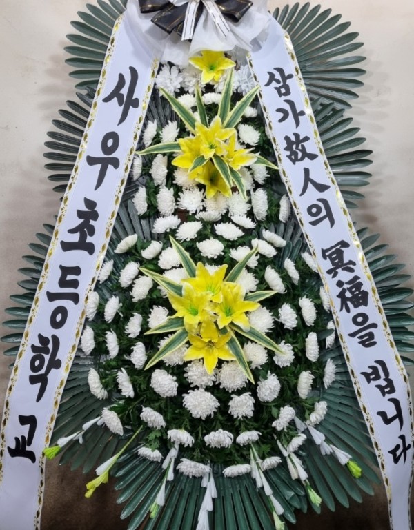 업로드 이미지