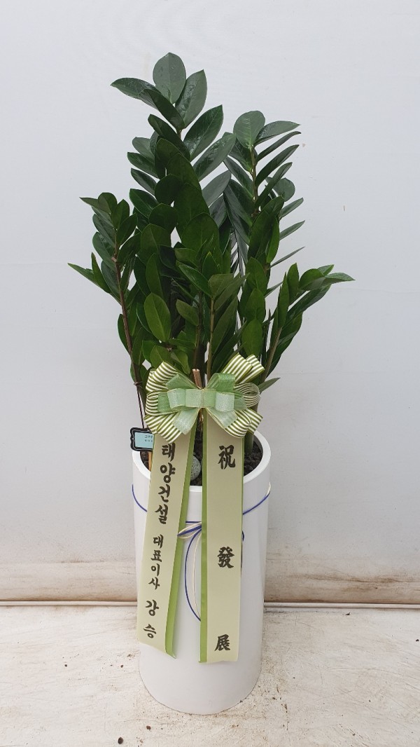 업로드 이미지