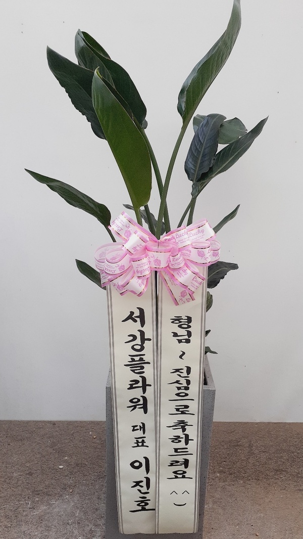 업로드 이미지