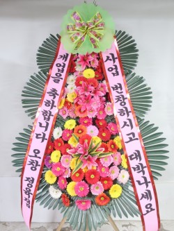 배송사진