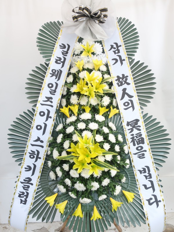 업로드 이미지