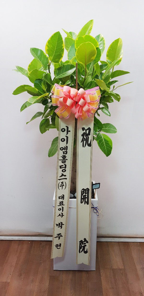 업로드 이미지