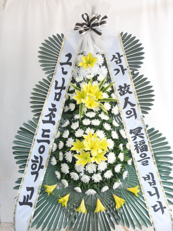 업로드 이미지