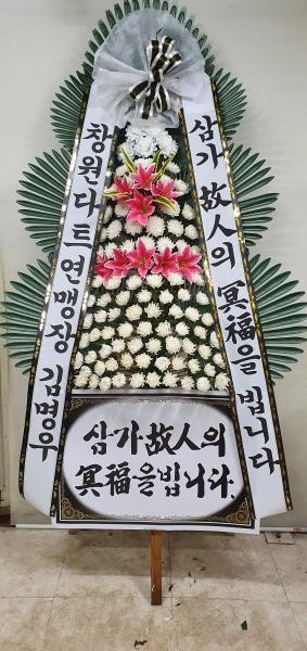 업로드 이미지