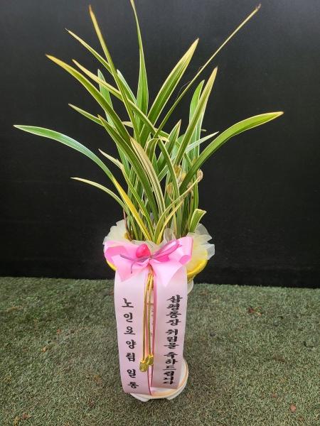 업로드 이미지