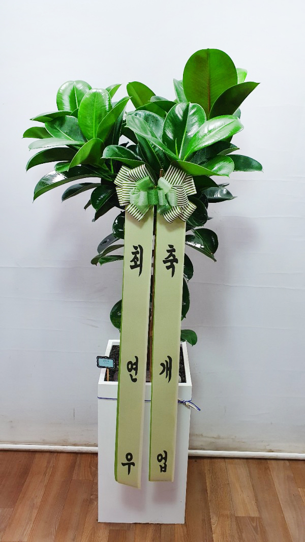 업로드 이미지