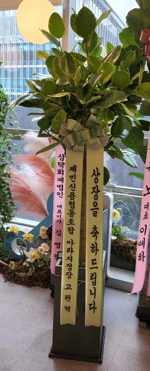업로드 이미지