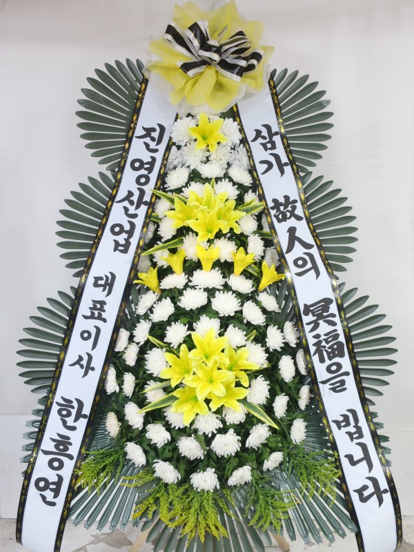 업로드 이미지