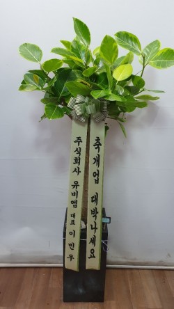업로드 이미지