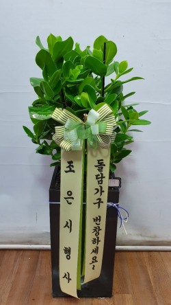 업로드 이미지