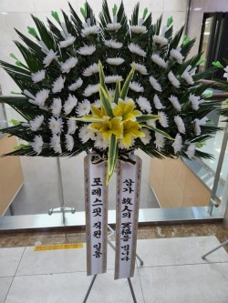 배송사진