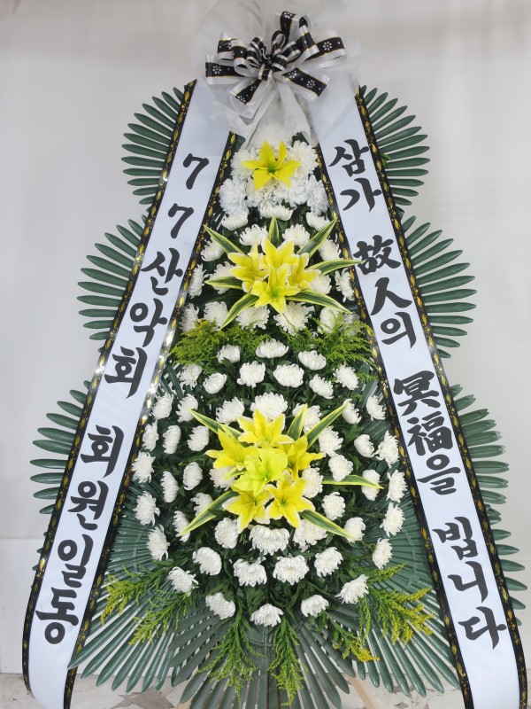 업로드 이미지