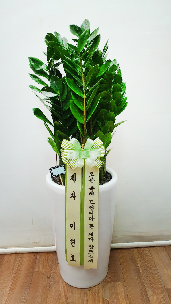 업로드 이미지