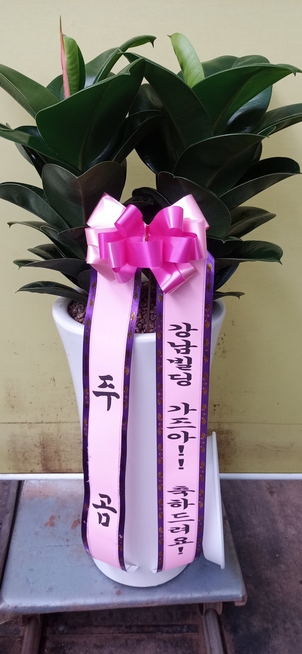 업로드 이미지