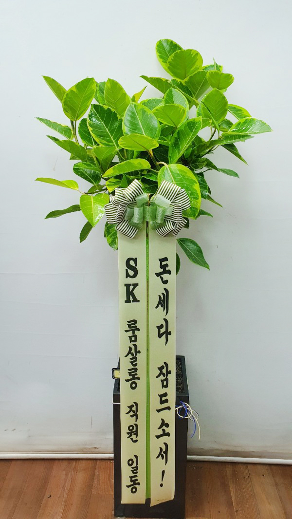 업로드 이미지
