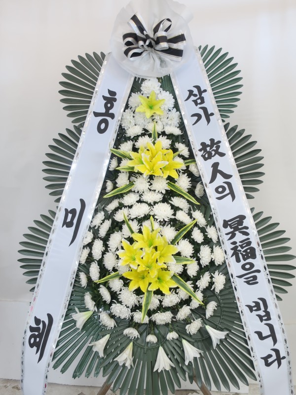 업로드 이미지
