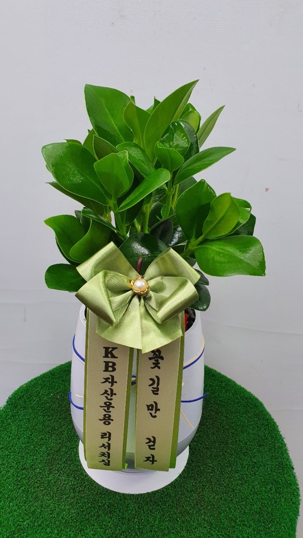 업로드 이미지