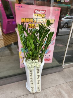 배송사진
