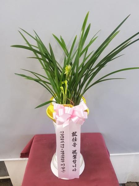 업로드 이미지
