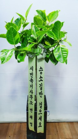 배송사진