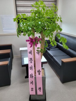배송사진