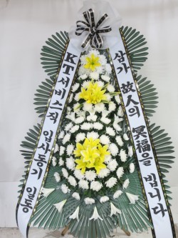 배송사진