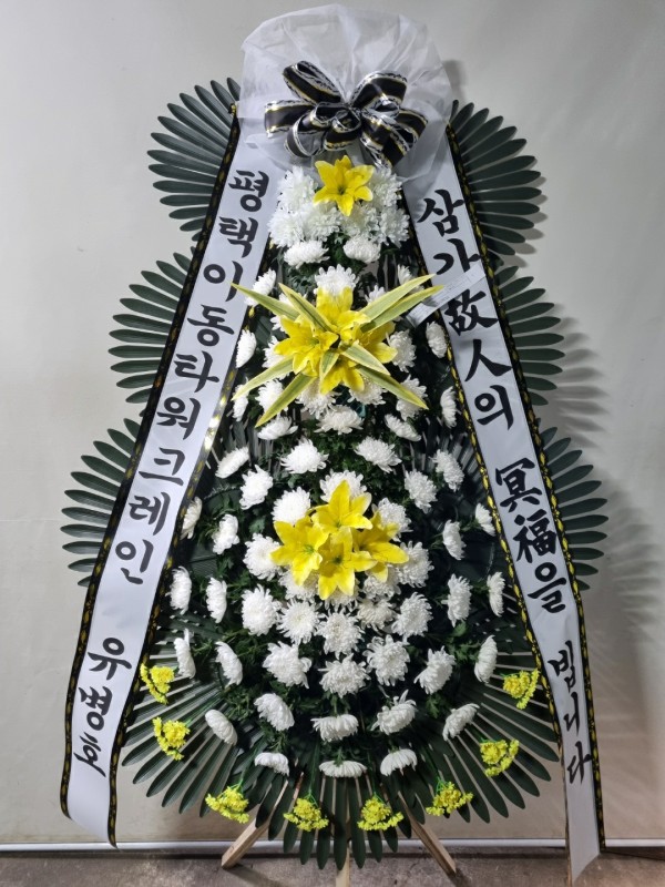업로드 이미지