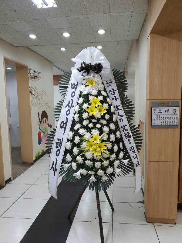업로드 이미지