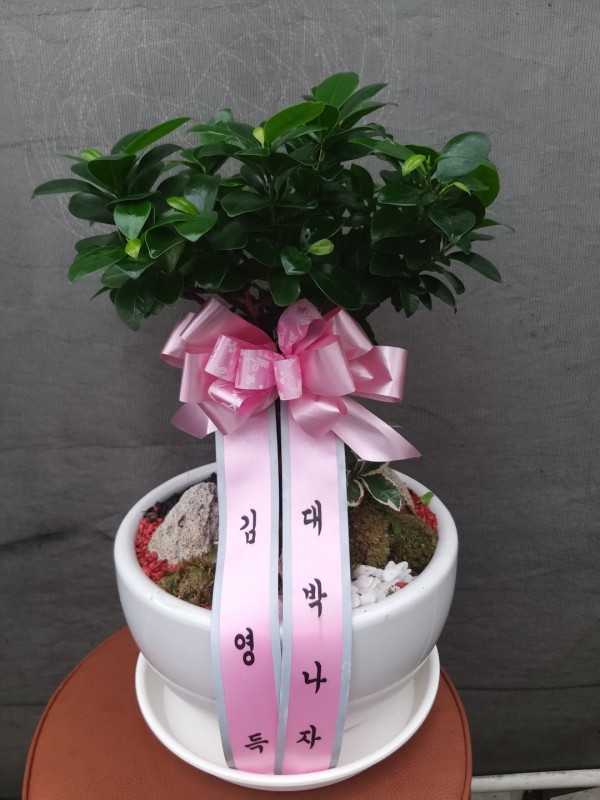 업로드 이미지