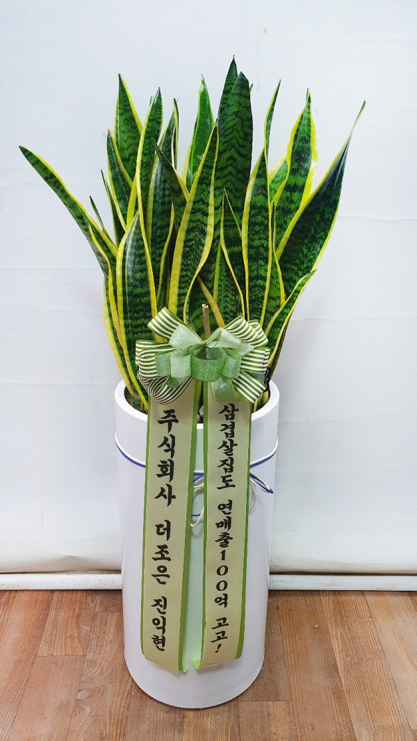업로드 이미지