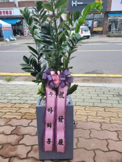 배송사진