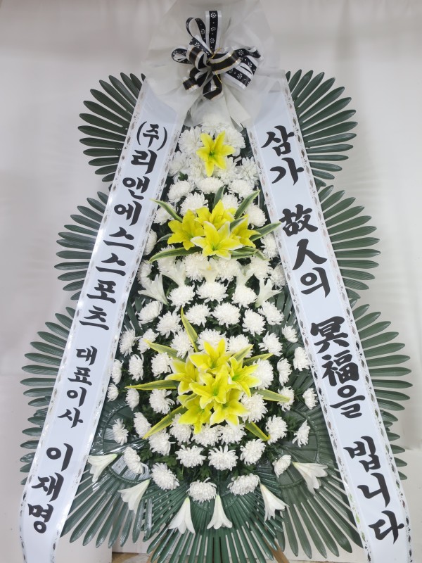 업로드 이미지