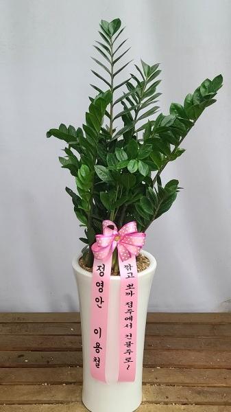 업로드 이미지