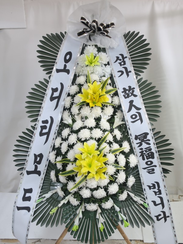 업로드 이미지
