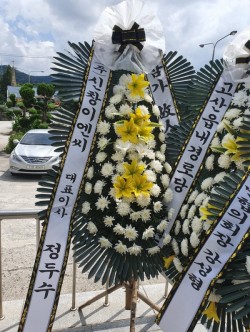 배송사진