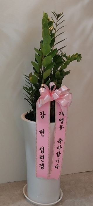 업로드 이미지
