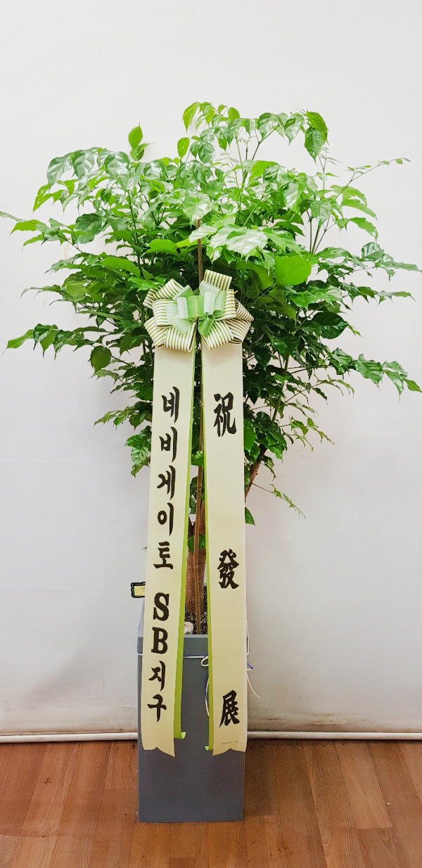 업로드 이미지