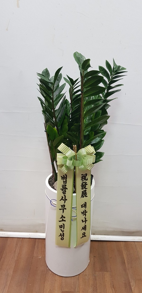 업로드 이미지