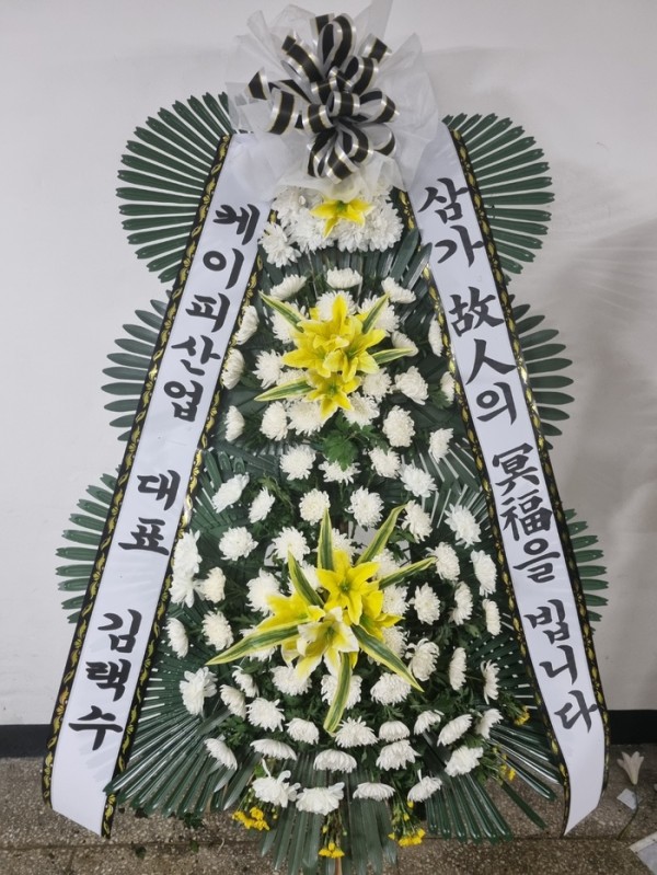 업로드 이미지