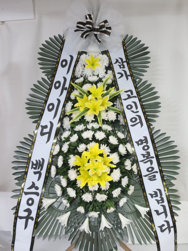 업로드 이미지