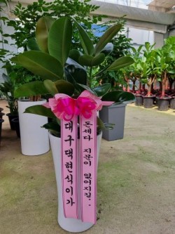 배송사진