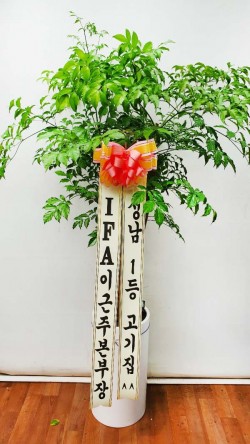 배송사진