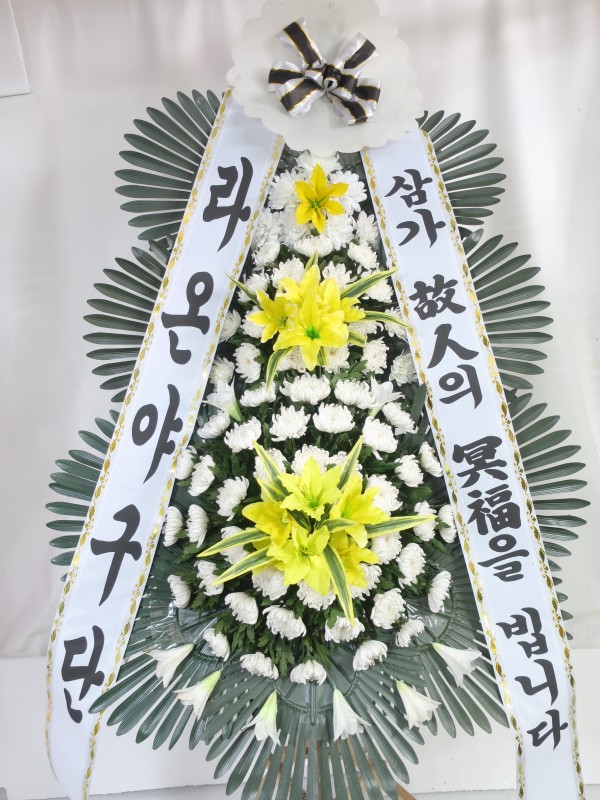 업로드 이미지
