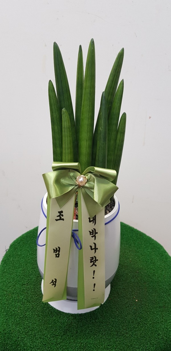 업로드 이미지