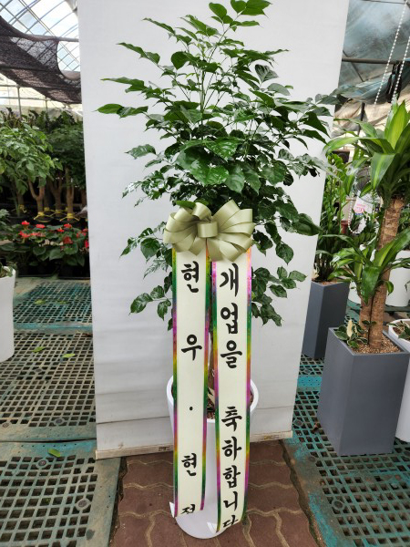 업로드 이미지