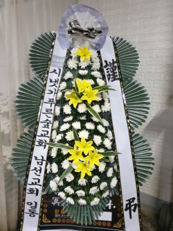 업로드 이미지