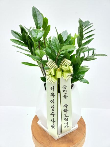 업로드 이미지