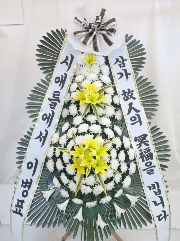 업로드 이미지