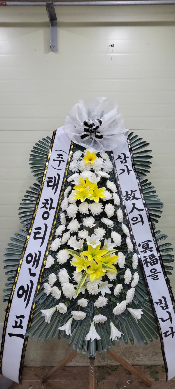 업로드 이미지