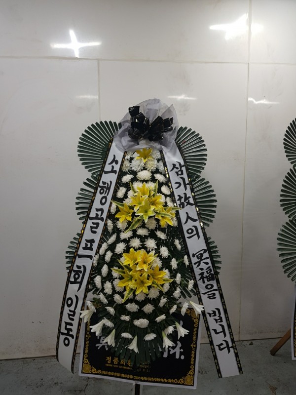 업로드 이미지
